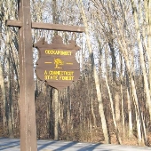 Weber Woods