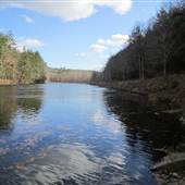 American Legion State Forest