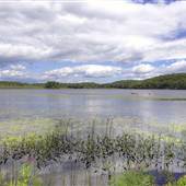 Kent Lake House