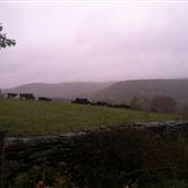 Spring Manor Farm