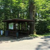 Bartlett Arboretum and Gardens