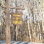Weber Woods