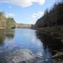 American Legion State Forest