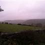 Spring Manor Farm