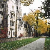 Yale University