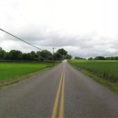 Ellington - Middle Road