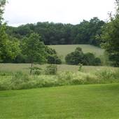 Farnham Farm