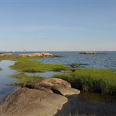 Guilford's Chaffinch Island and Chittenden  Parks