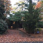 The Solomon House