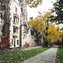 Yale University