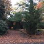 The Solomon House