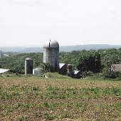 Nutmeg Acres