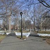 Wooster Square