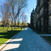 Trinity College Long Walk (Upper Long Walk)