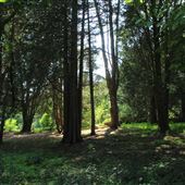Bartlett Arboretum and Gardens