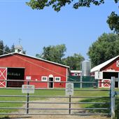Red Barn Stables Horse Farm