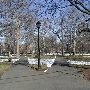 Wooster Square