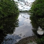 Pachaug State Forest