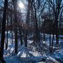 Deepwood