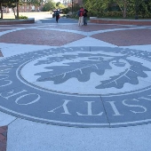 Uconn-Homer D.Babbidge Library