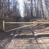 Arnold Ravine Wilderness Area