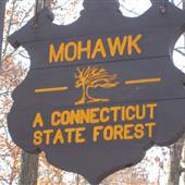 Mohawk State Forest -Tornado Road Area