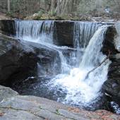 Enders State Forest -Falls