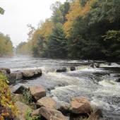 Salmon River State Forest
