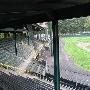 Muzzy Field