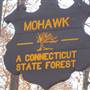 Mohawk State Forest -Tornado Road Area