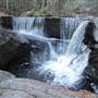 Enders State Forest -Falls