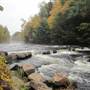Salmon River State Forest