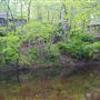 New England Nature Sanctuary Compound