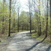 Western Connecticut State University - Ives Concert Park