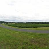 Ellington - Frog Hollow Road