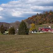 Platt Farm
