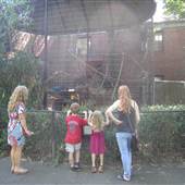 Connecticut's Beardsley Zoo - Rainforest Building