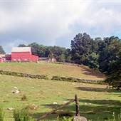 Ludorf Farm Museum