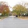 Saint Ronan Street