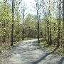 Western Connecticut State University - Ives Concert Park