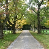 Tyrone Farm