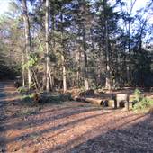 Peoples State Forest -Greenwoods Road