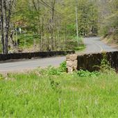 Guilford Bridges