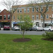 Goodman Green