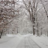 Mianus River Park