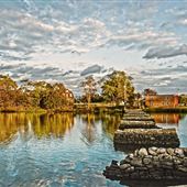 Cove Island Park