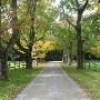 Tyrone Farm