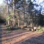 Peoples State Forest -Greenwoods Road