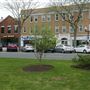 Goodman Green
