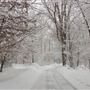 Mianus River Park